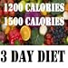 1200 and 1500 Calories Diets