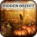 Hidden Object - Summer's End  ( Kindle Fire Edition )