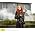 Miniaturansicht von Tori Amos