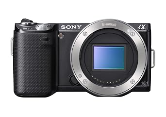 Sony NEX-5N 16.1 MP Compact Interchangeable Lens Camera with Touchscreen - Body Only (Black)