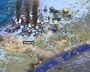 Rise of Nations Gold