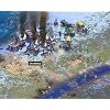 Rise of Nations Gold