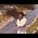Video von Lee Fields