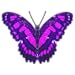 Butterfliestry