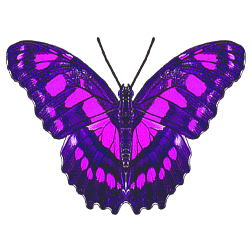 Butterfliestry