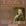 Jean-Marie Leclair: First Book of Sonatas for Solo Violin with Basso Continuo, 1723, Vol. 1 - Fabio Biondi