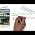 Video of Raymond Le Blanc