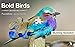 Bold Bird Jigsaw Puzzles