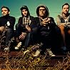Abbildung von The Amity Affliction