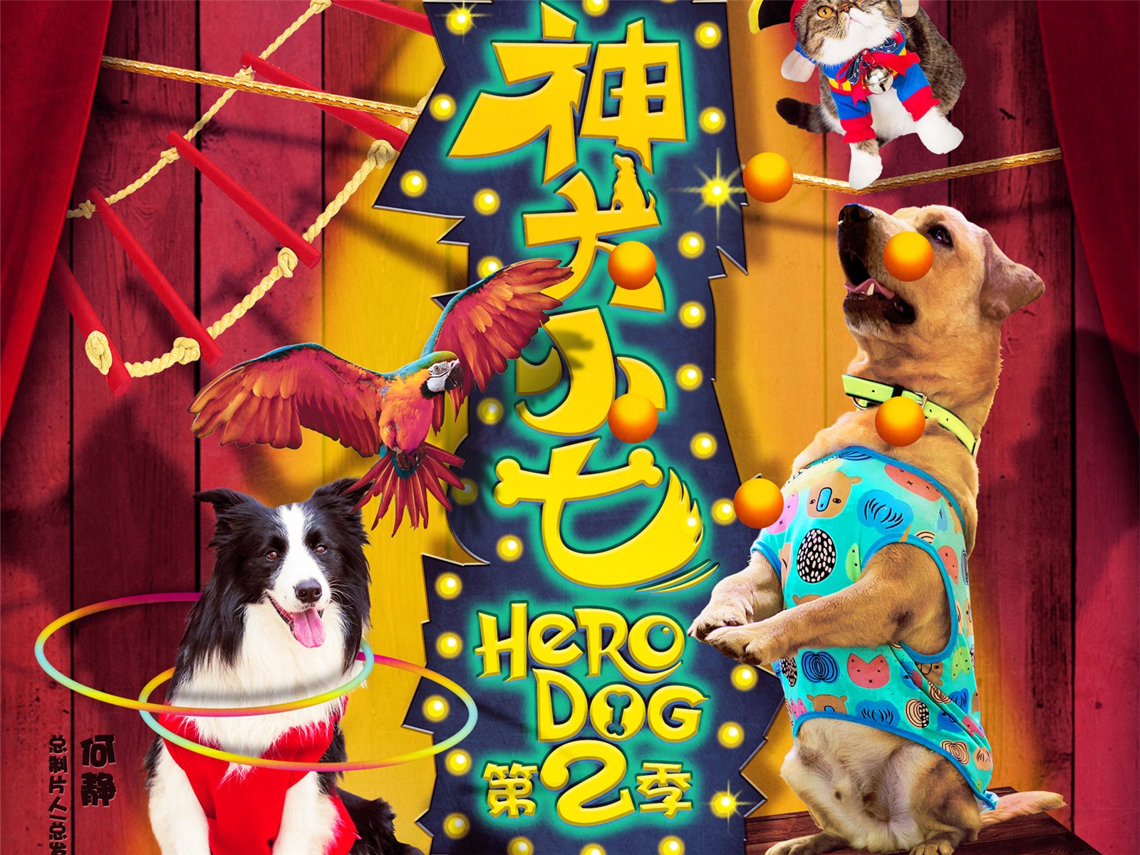 Watch 'Hero Dog' on Amazon Prime Video UK NewOnAmzPrimeUK