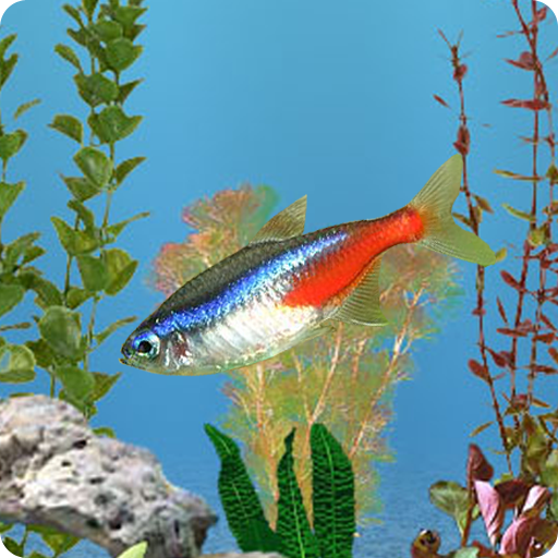 aniPet Freshwater Aquarium Live Wallpaper