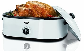 oster roaster