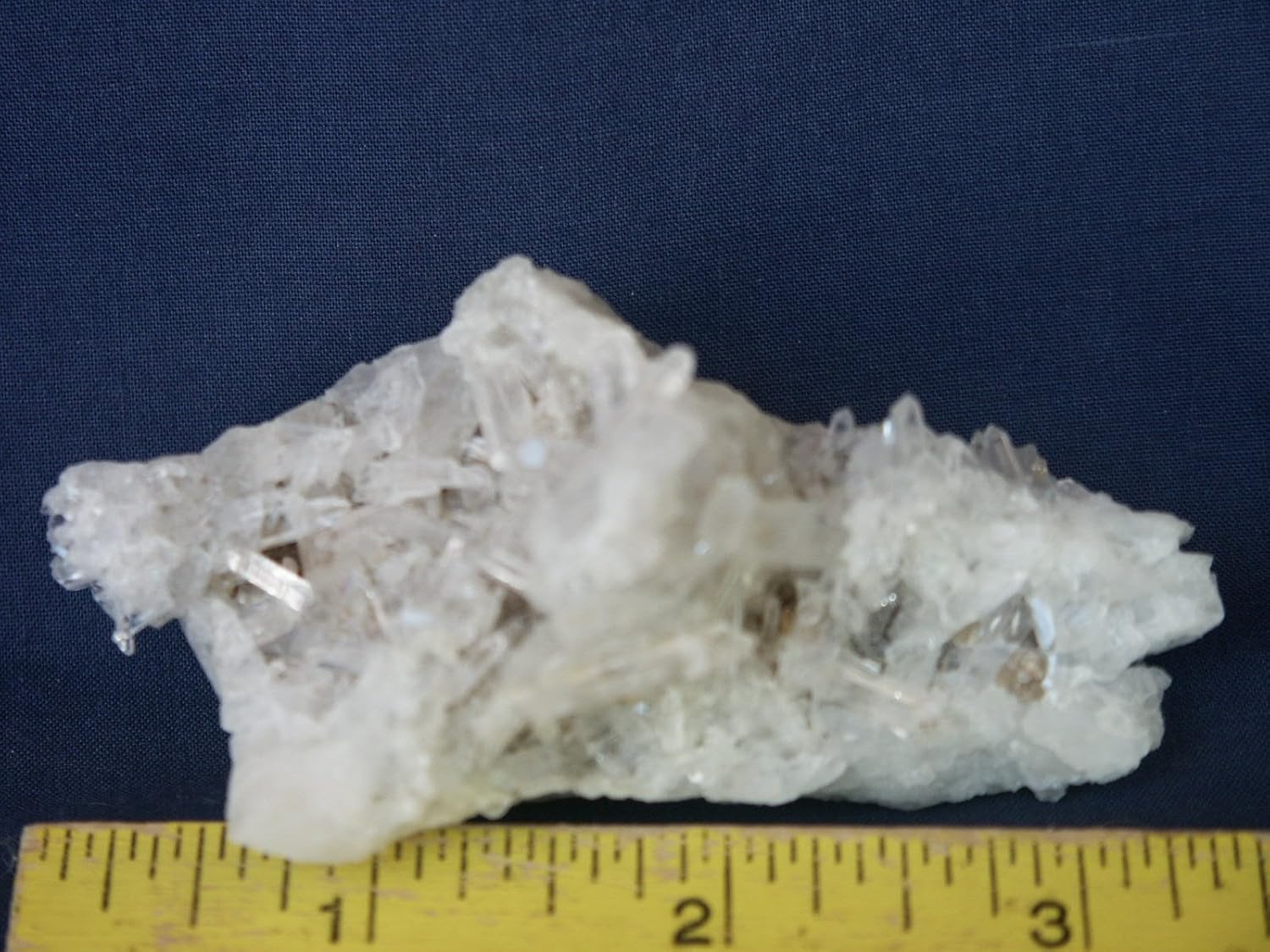 Argenta Certified Farmers Market in North Little Rock Arkansas profile