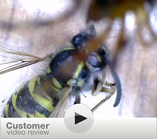 Click to watch this video