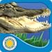 Alligator at Saw Grass Road - Smithsonian's Backyard