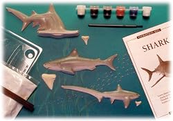 Eyewitness Mold-It Shark Casting Kit