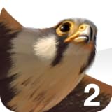 iBird Pro