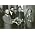 Vignette de Alban Berg Quartett