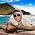 Thumbnail image of Jimmy Buffett