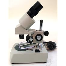Stereo Microscope