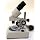Stereo Microscope