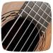 Guitar Tuning Helper