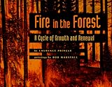 Fire in the Forest: A Cycle of Growth and Renewal