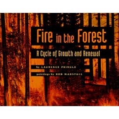 Fire in the Forest: A Cycle of Growth and Renewal