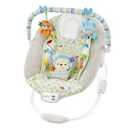 taggies baby chair