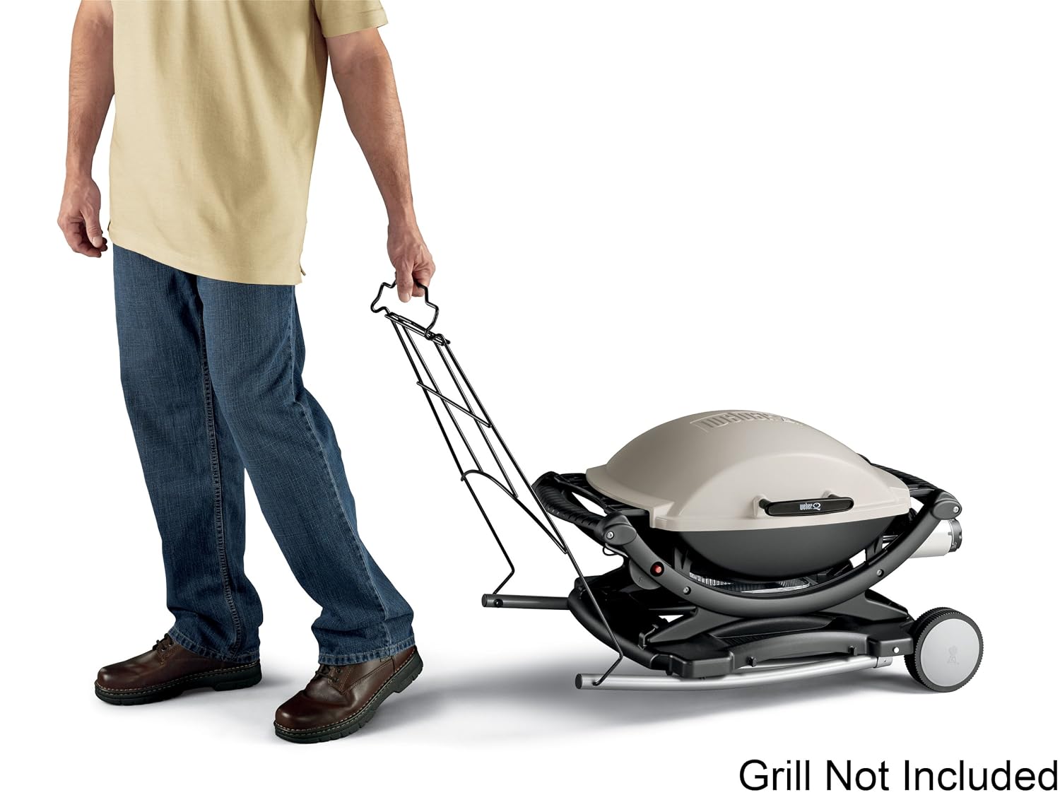 barbecue weber q 100 prezzo
