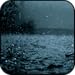 Relaxing Sounds of Rain: Best for Relaxation, Sleep, Meditation, Yoga, and Studying