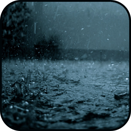 Relaxing Sounds of Rain: Best for Relaxation, Sleep, Meditation, Yoga, and Studying
