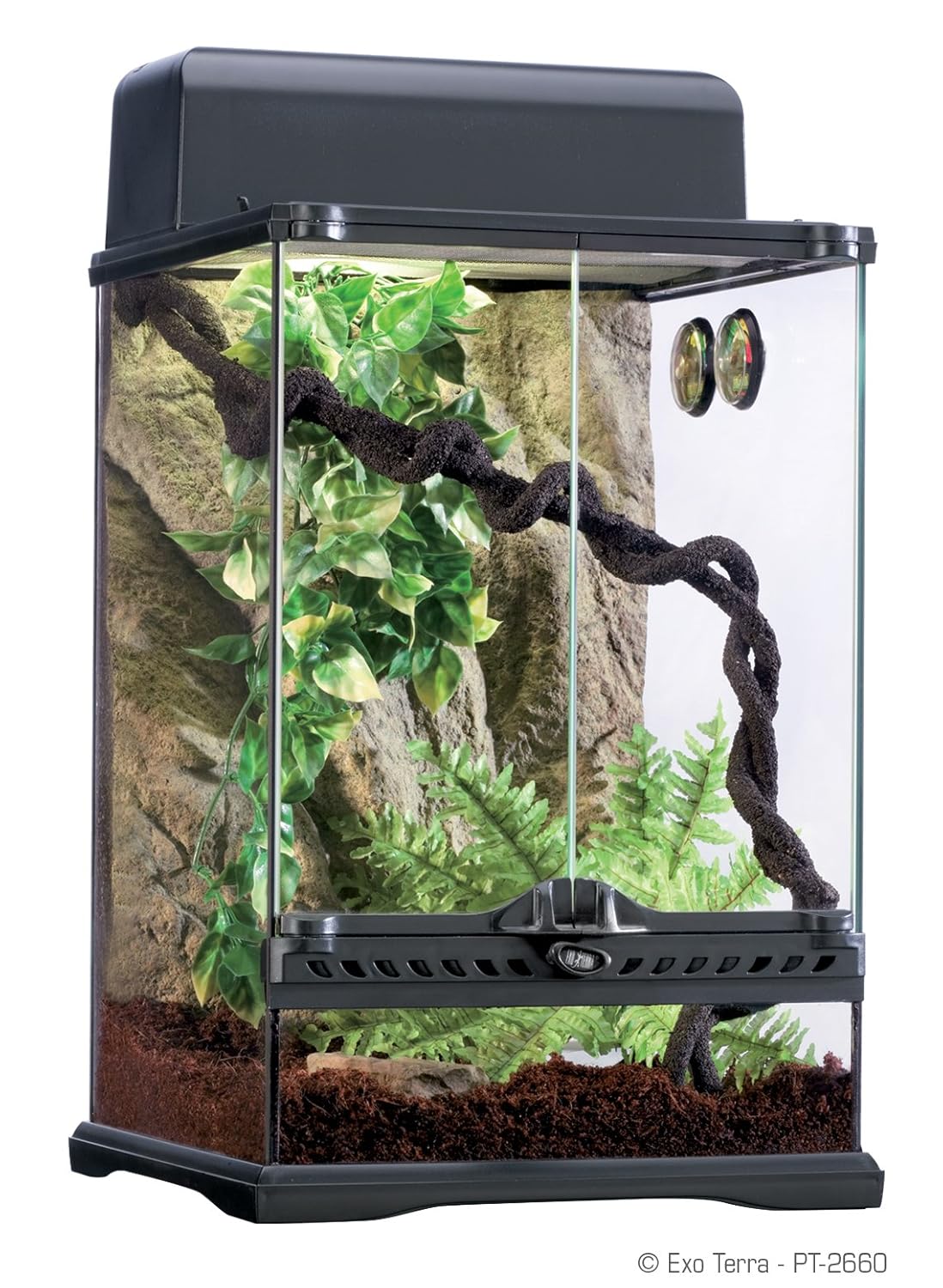 Frog Habitat Kit And Aquarium Set for Small Species