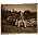 Thumbnail image of Neil Young
