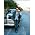 Thumbnail image of Bruce Springsteen