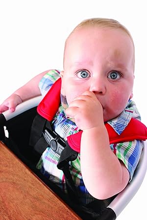 phil and teds portable high chair