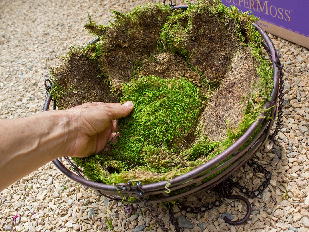 Super Moss (21508) Preserved Sheet Moss, Fresh Green 2024 sq feet Appx