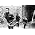 Thumbnail image of Band of Horses
