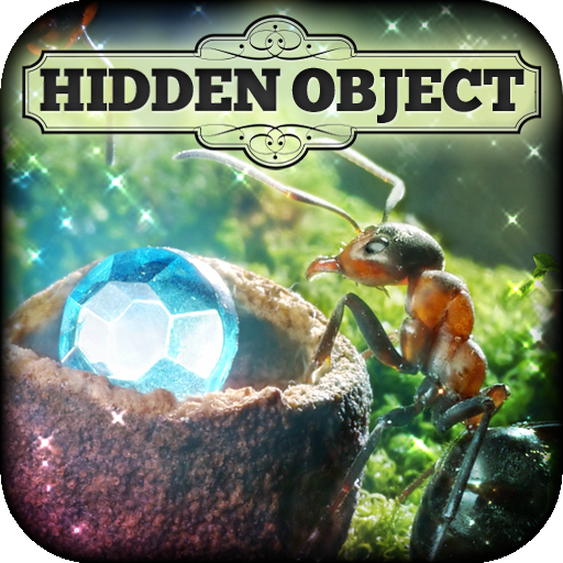 Hidden Object - Ant Farm