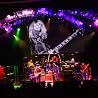 Image of Allman Brothers Band