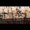 Graham Coxon: A&E - Album Teaser