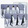 Lenticular Standard Luggage Tag with Clear Plastic Loop, Flips from an image of penguins standing around to penguins marching in line together, LT01-211