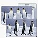 Lenticular Standard Luggage Tag with Clear Plastic Loop, Flips from an image of penguins standing around to penguins marching in line together, LT01-211