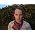 Thumbnail image of Caribou
