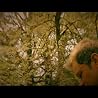 Steven Curtis Chapman- "re:creation"