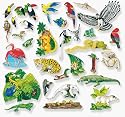 Felt Fun - Rainforest Friends Set - Pre-Cut Feltboard Figures