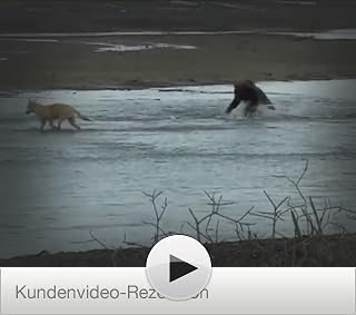 Klicken, um dieses Video zu sehen