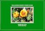 National Audubon Society Pocket Guide to Familiar Cacti (The Audubon Society Pocket Guides)
