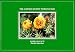 National Audubon Society Pocket Guide to Familiar Cacti