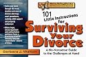 101 Little Instructions for Surviving Your Divorce: A No-Nonsense Guide to the Challenges at Hand (Rebuilding Books)